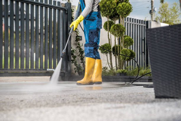 Best Solar Panel Cleaning  in Spring Valley Village, TX